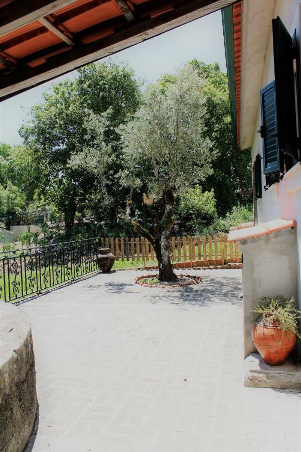 Casa Da Maria Moca Villa Fátima Buitenkant foto