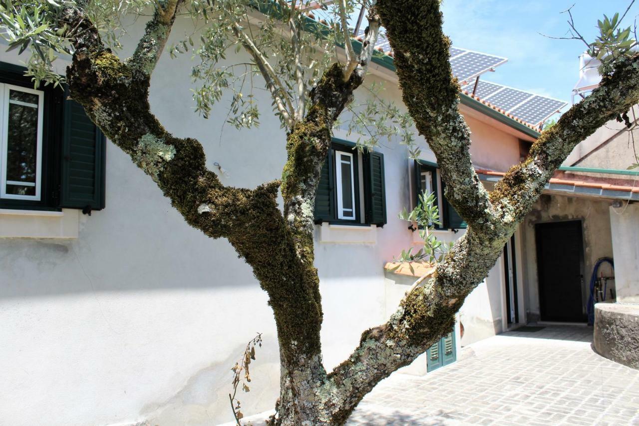 Casa Da Maria Moca Villa Fátima Buitenkant foto